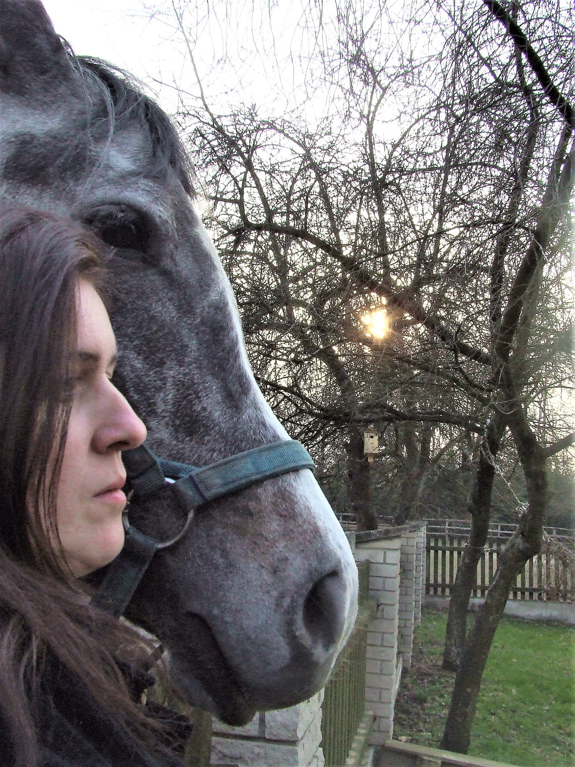 eliza rumowska hipoterapia kilka słów o mnie